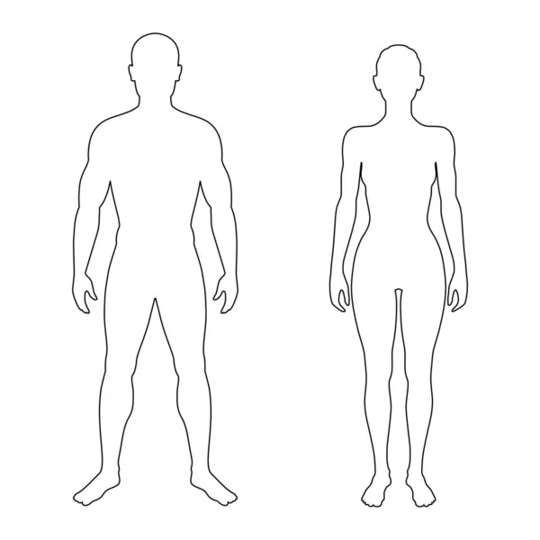 Man en vrouw contouren — Stockvector