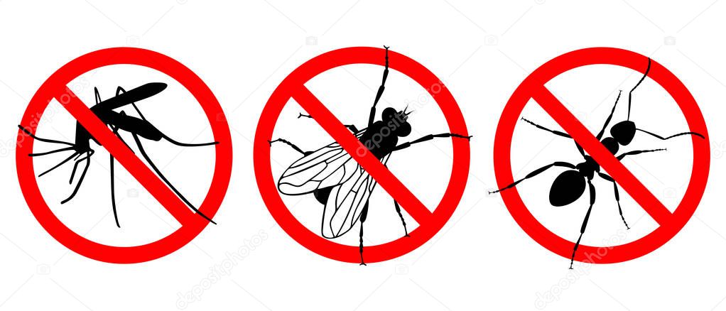 No insects