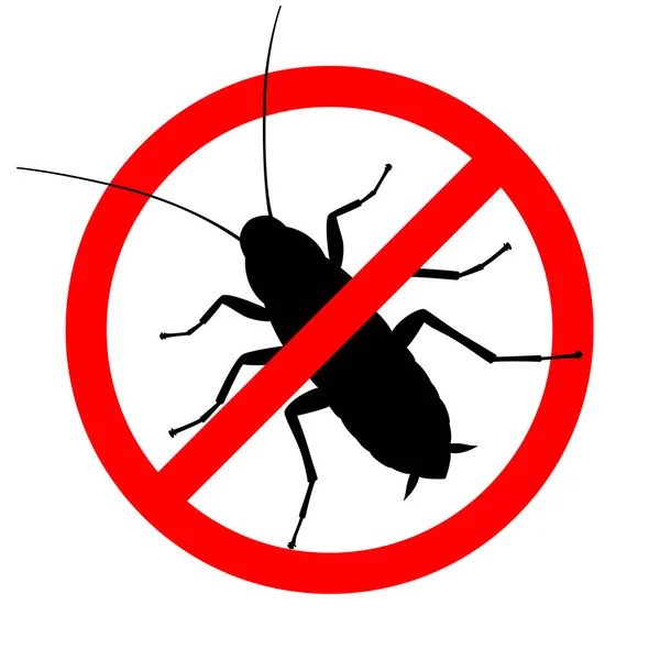 No cockroach — Stock Vector