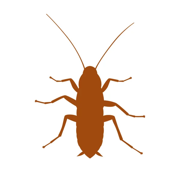 Κατσαρίδα — Διανυσματικό Αρχείο