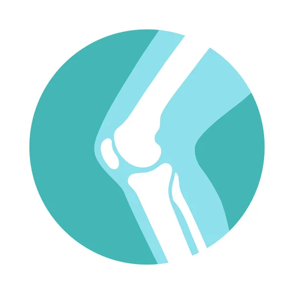 Articulación de rodilla — Vector de stock