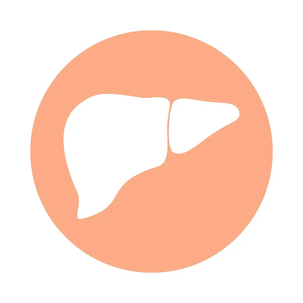 Liver icon — Stock Vector