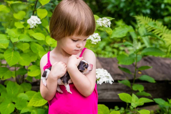 Lilla tjejen ser uppmärksamt till 4-dagar gamla estniska hound valp — Stockfoto