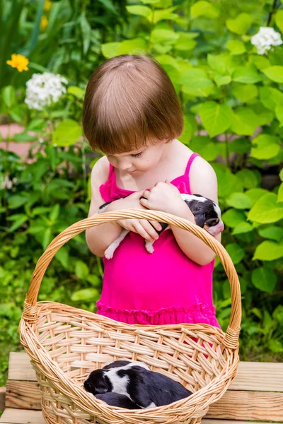 Menina de 3 anos segura em mãos o cachorro de Cão estoniano — Fotografia de Stock