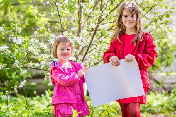 Two smiling sisters stand near the apple tree and hold a white s — Stock Photo, Image