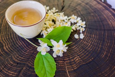 Yeşil çay Fincan, kurutulmuş çiçekleri ve ahşap yasemin sprig