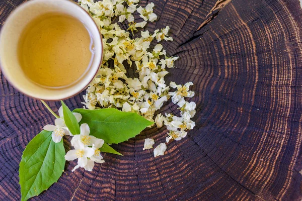 Kopje groene thee, gedroogde bloesems en takje jasmijn op houten — Stockfoto