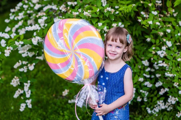 4岁的女孩拿着大棒糖。花园里的夏天. — 图库照片
