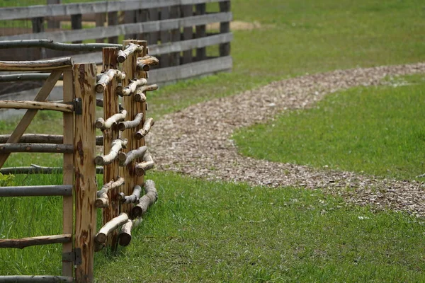庭に門のある木製の柵 — ストック写真