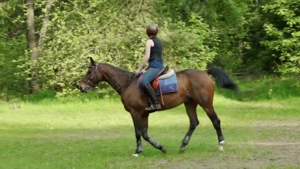 Жінка їде конем через поле . — стокове відео