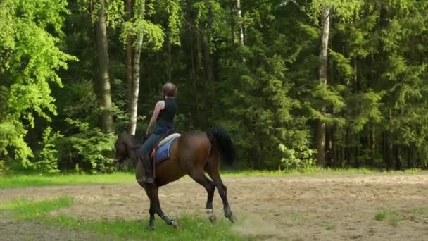 Mujer montando a caballo por el campo . — Vídeo de stock