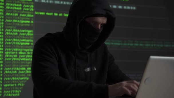 Um hacker ou cracker tenta hackear um sistema de segurança para roubar ou destruir informações críticas. Ou um resgate de informações importantes da empresa — Vídeo de Stock