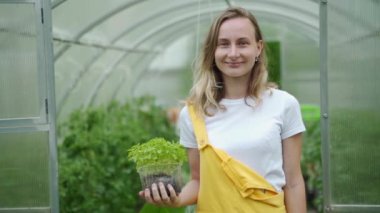 Kadınlar serada sebze topluyor. Zehirli olmayan sebzelerden oluşan bir bahçe.