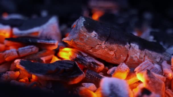 바베큐에서 불타고 있는 살아 있는 석탄 — 비디오