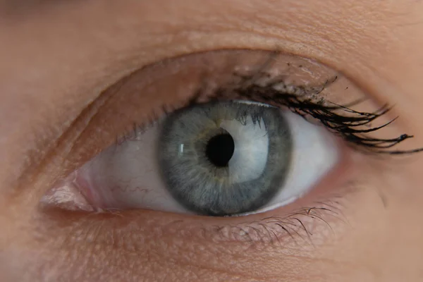 Gros plan belle ouverture des yeux bleus iris humain macro beauté naturelle — Photo