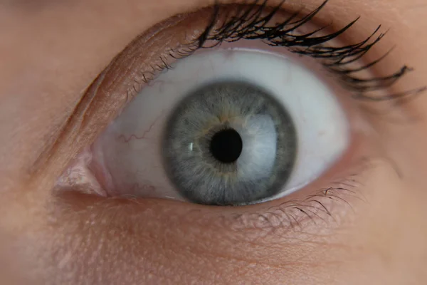 Gros plan belle ouverture des yeux bleus iris humain macro beauté naturelle — Photo