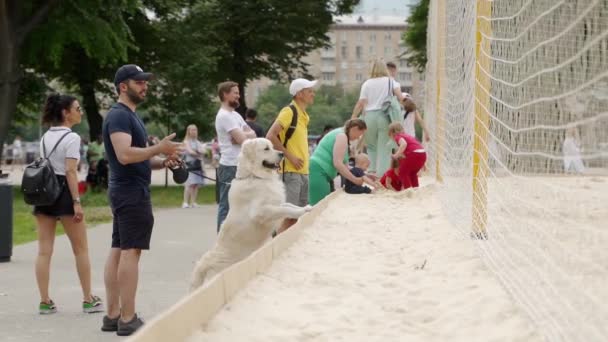 Moscú, Rusia - 5 de julio de 2020: La gente en el verde parque soleado — Vídeos de Stock