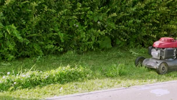 Jardinier lance tondeuse à gazon il pour prendre soin de la pelouse verte dans le parc municipal — Video