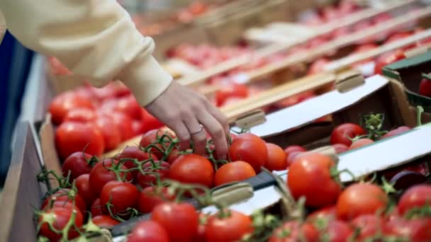 A női kéz friss zöldségeket vesz egy szupermarketben közelről. nő választott friss paradicsom a boltban. — Stock videók