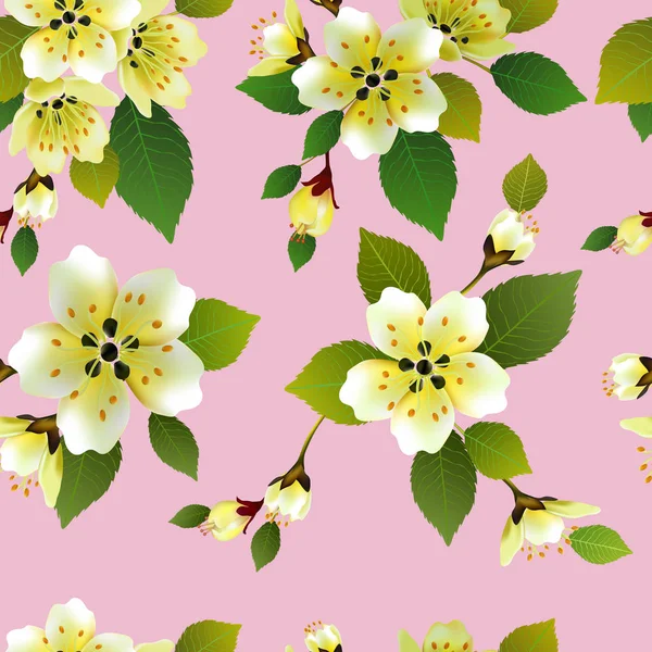 Fondo Primavera Sin Costura Vectorial Con Flores Blancas Rosadas Con — Vector de stock