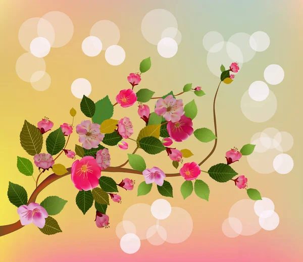 Vektorillustration Våren Allt Vaknar Sakura Blommar Blossom — Stock vektor