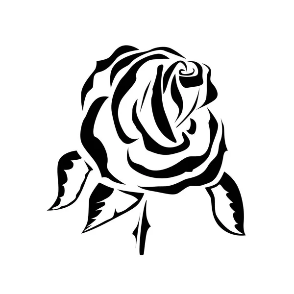 Wektor Rysunek Tatuaż Róża Logo — Wektor stockowy