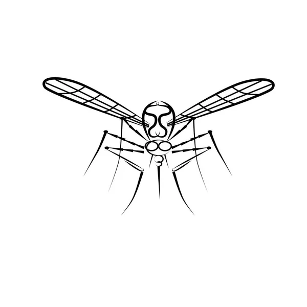 Vektorillustration Eines Insekts Mücke — Stockvektor