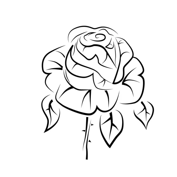 Desenho Vetorial Uma Rosa Tatuagem Logotipo — Vetor de Stock