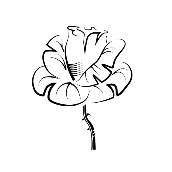 Desenho Vetorial Uma Rosa Tatuagem Logotipo — Vetor de Stock