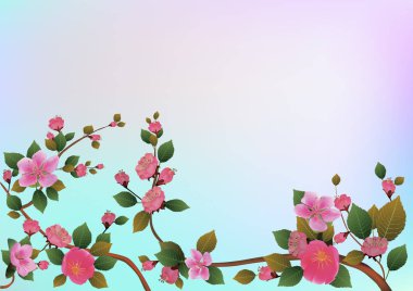 Bahar. Tüm uyanır, sakura çiçek çiçekler .