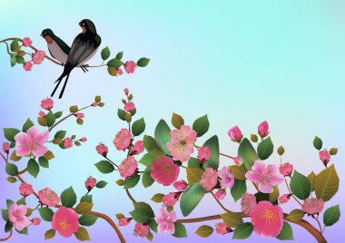 Bahar. Tüm uyanır, sakura çiçek çiçekler .