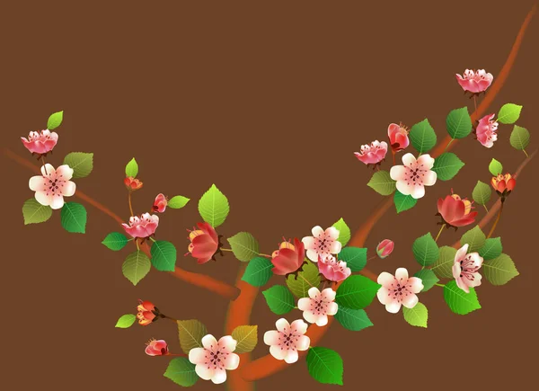 Primavera Todos Despiertan Flores Flor Sakura — Vector de stock