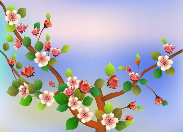 Lente Alle Wakker Bloemen Sakura Bloesem — Stockvector