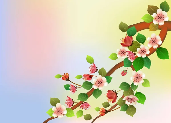 Весной Просыпается Цветы Цветут Сакура — стоковый вектор
