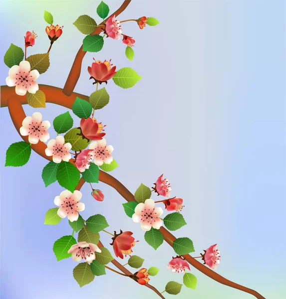 Primavera Todos Despiertan Flores Flor Sakura — Vector de stock