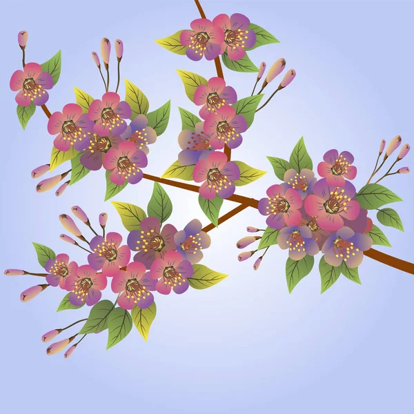 Lente Alle Wakker Bloemen Sakura Bloesem — Stockvector