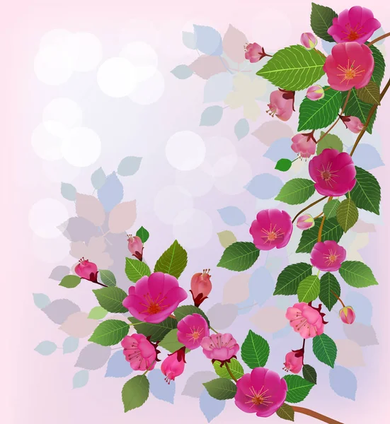 Spring All Wakes Flowers Sakura Blossom — Stock Vector