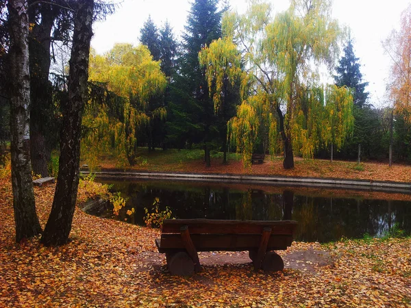 Autumn Listowie Przyrody Parku Miejskim — Zdjęcie stockowe