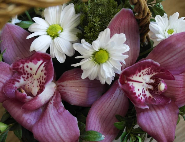 Букет Цветов Белых Маргариток Розовых Орхидей Плетеной Корзине — стоковое фото