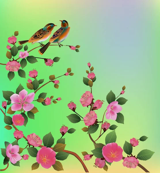 Весной Цветы Сакуры — стоковый вектор