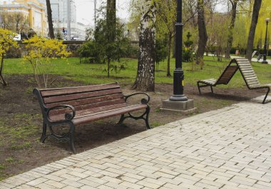 ilkbaharda eski park bankı