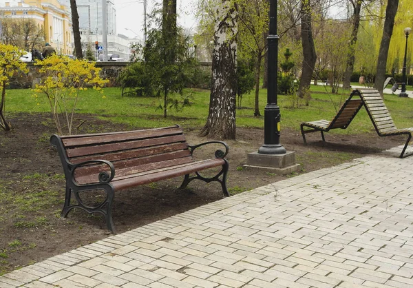 春の古い公園のベンチ — ストック写真