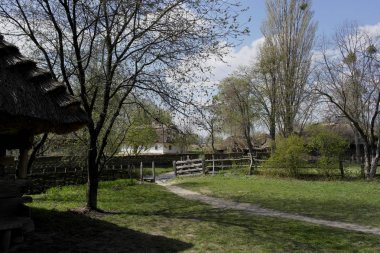  Eski Ukrayna evi. On dokuzuncu yüzyılın Ukrayna kulübesi. Bahar manzarası, çiçek açan ağaçlar. Pirogovo köyü.