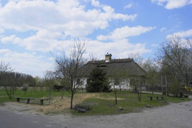  Eski Ukrayna evi. On dokuzuncu yüzyılın Ukrayna kulübesi. Bahar manzarası, çiçek açan ağaçlar. Pirogovo köyü.