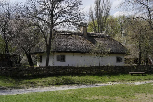 Velha Casa Ucraniana Cabana Ucraniana Século Xix Paisagem Primavera Árvores — Fotografia de Stock