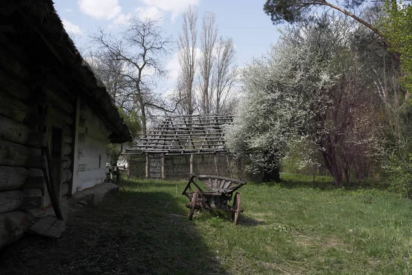 Stary Ukraiński Dom Ukraińska Chata Xix Wieku Wiosna Krajobraz Kwitnące — Zdjęcie stockowe