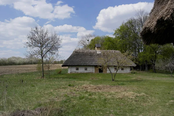 老乌克兰房子 十九世纪的乌克兰小屋 春天的风景 盛开的树木 皮罗戈沃村 — 图库照片