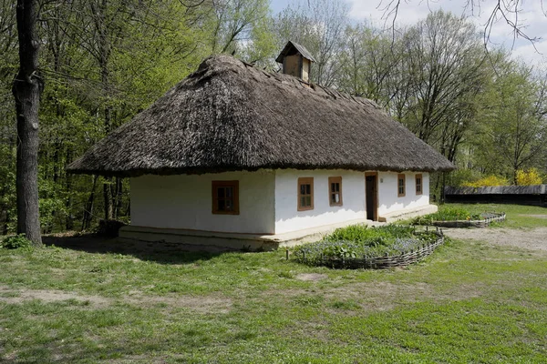 Antigua Casa Ucraniana Cabaña Ucraniana Del Siglo Xix Paisaje Primavera — Foto de Stock