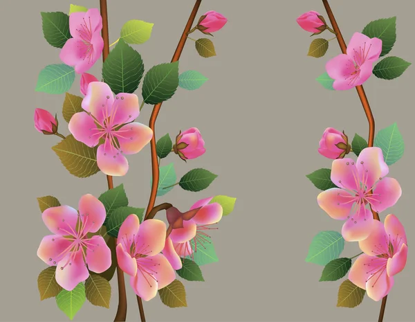 Spring Flowers Sakura Blossom — Stock Vector
