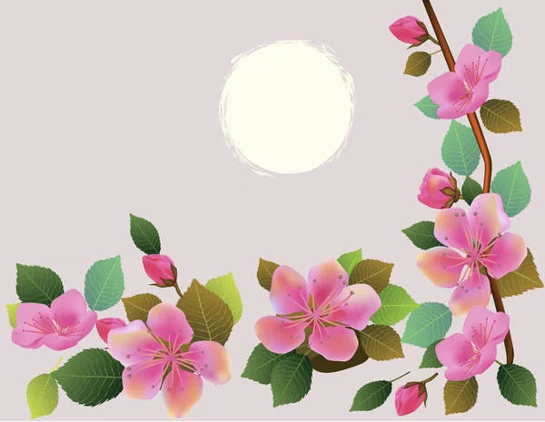 Primavera Flores Sakura Flor — Vector de stock